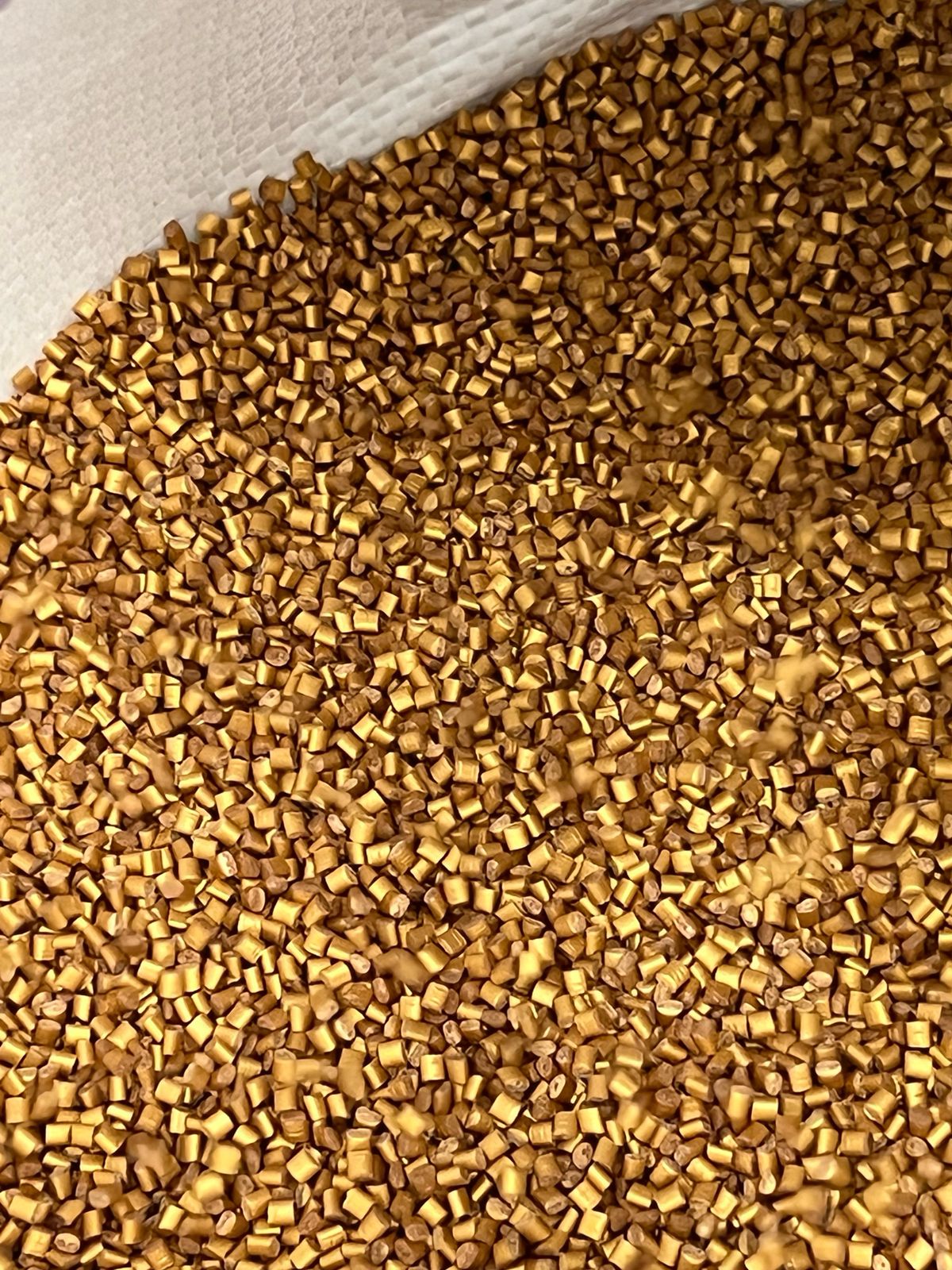 WhatsApp Image 2026-01-28 at 6.19.12 PM